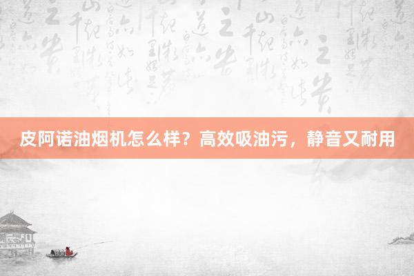 皮阿诺油烟机怎么样？高效吸油污，静音又耐用