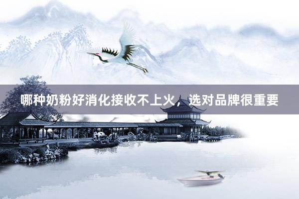 哪种奶粉好消化接收不上火，选对品牌很重要