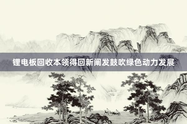 锂电板回收本领得回新阐发鼓吹绿色动力发展