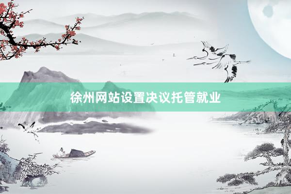 徐州网站设置决议托管就业